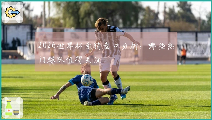2026世界杯竞猜盘口分析,哪些热门球队值得关注