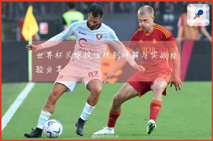 世界杯买球投注规则详解与实战经验分享