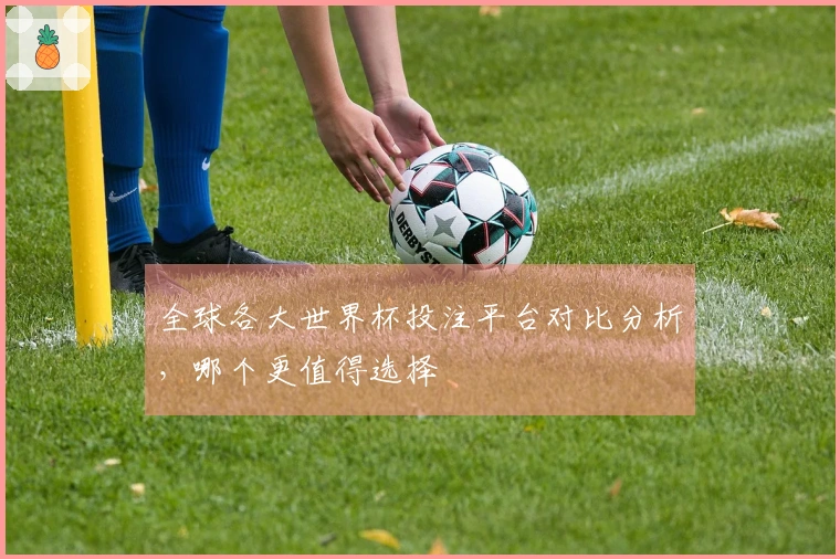 全球各大世界杯投注平台对比分析，哪个更值得选择